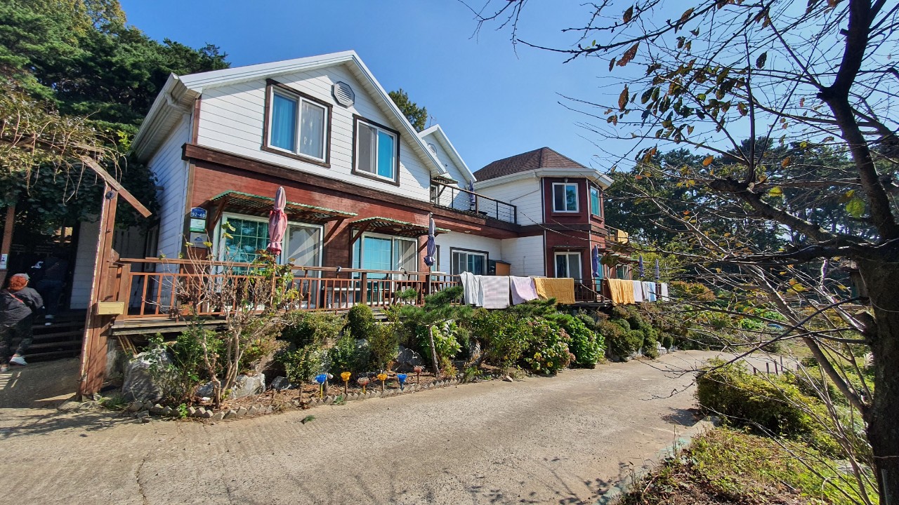 아일랜드 이미지