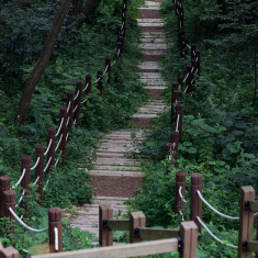 산림욕장 사진