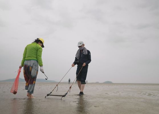 천혜의 갯벌 ‘강화 볼음도''. ‘친환경 추천 여행지’선정 이미지