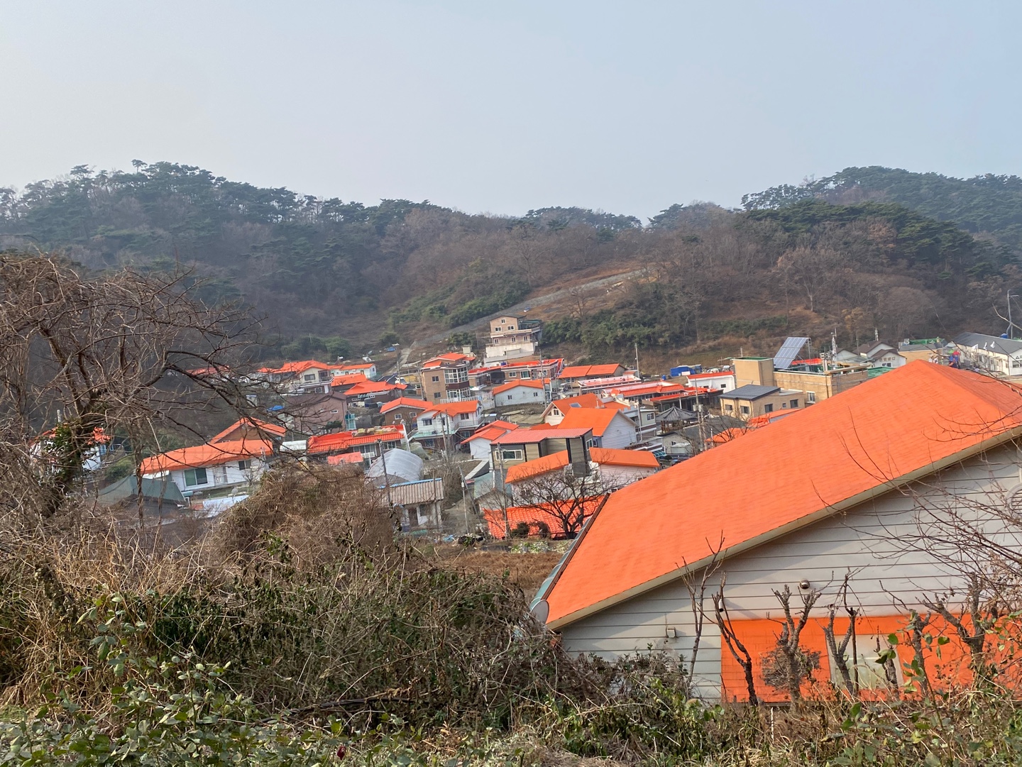 대이작도 마을전경의 2번째 이미지