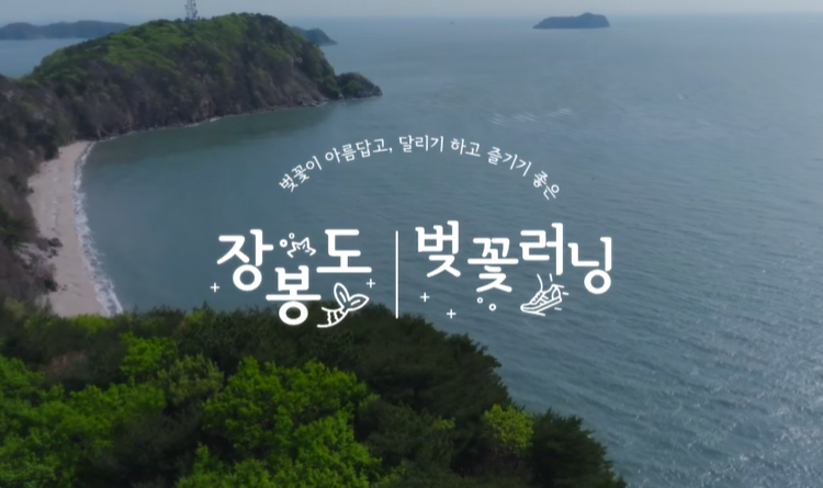 2025 장봉도 벚꽃러닝 이미지